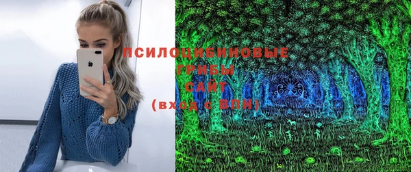 шишки Алексеевка