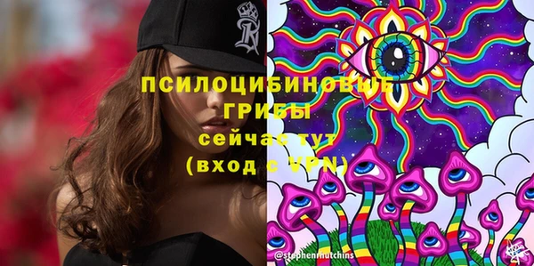 стафф Алексин