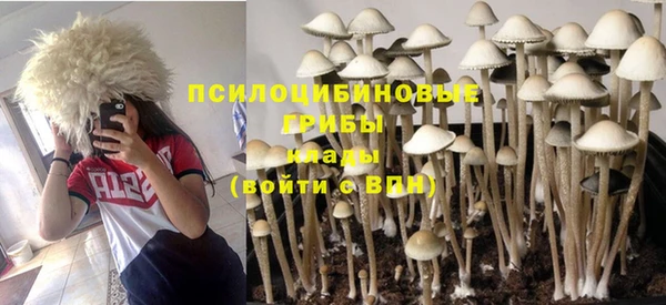 стафф Алексин