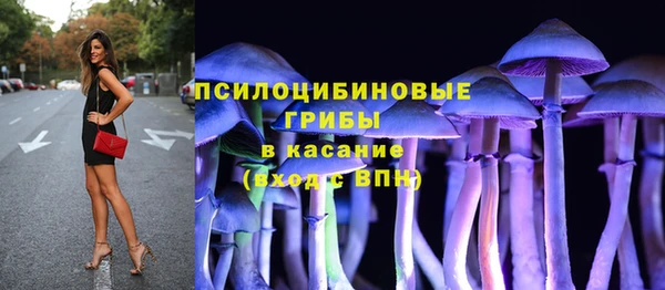 стафф Алексин