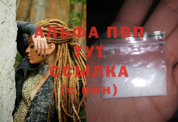 стафф Алексин