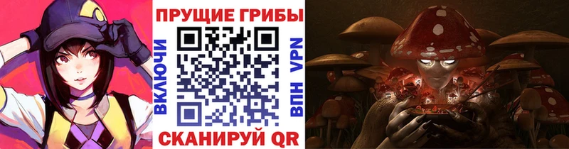 наркошоп  Арамиль  Галлюциногенные грибы Psilocybe 